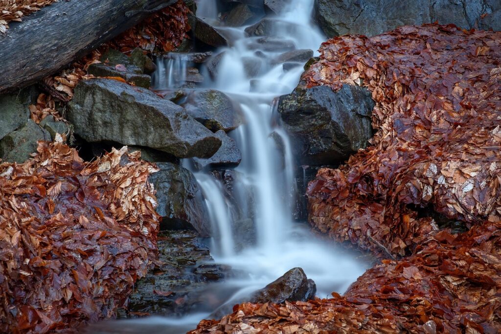 Spa i Wellness – gdzie odpocząć w okolicach Bielska?